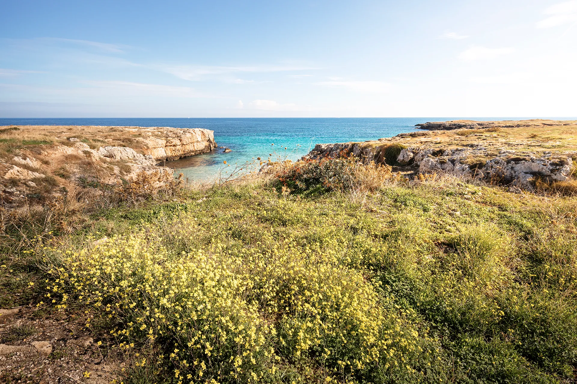 Natura incontaminata della Valle d'Itria in armonia con l'architettura contemporanea delle ville Vitria.